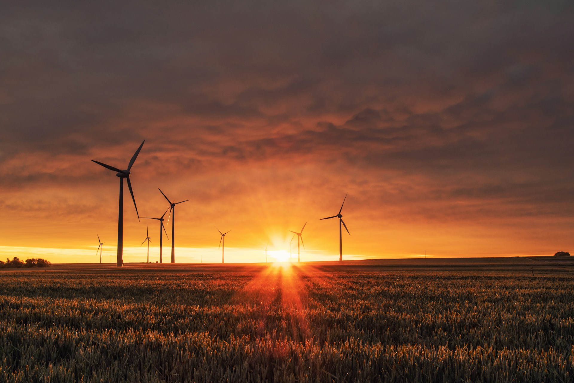 Renewable Energy Services