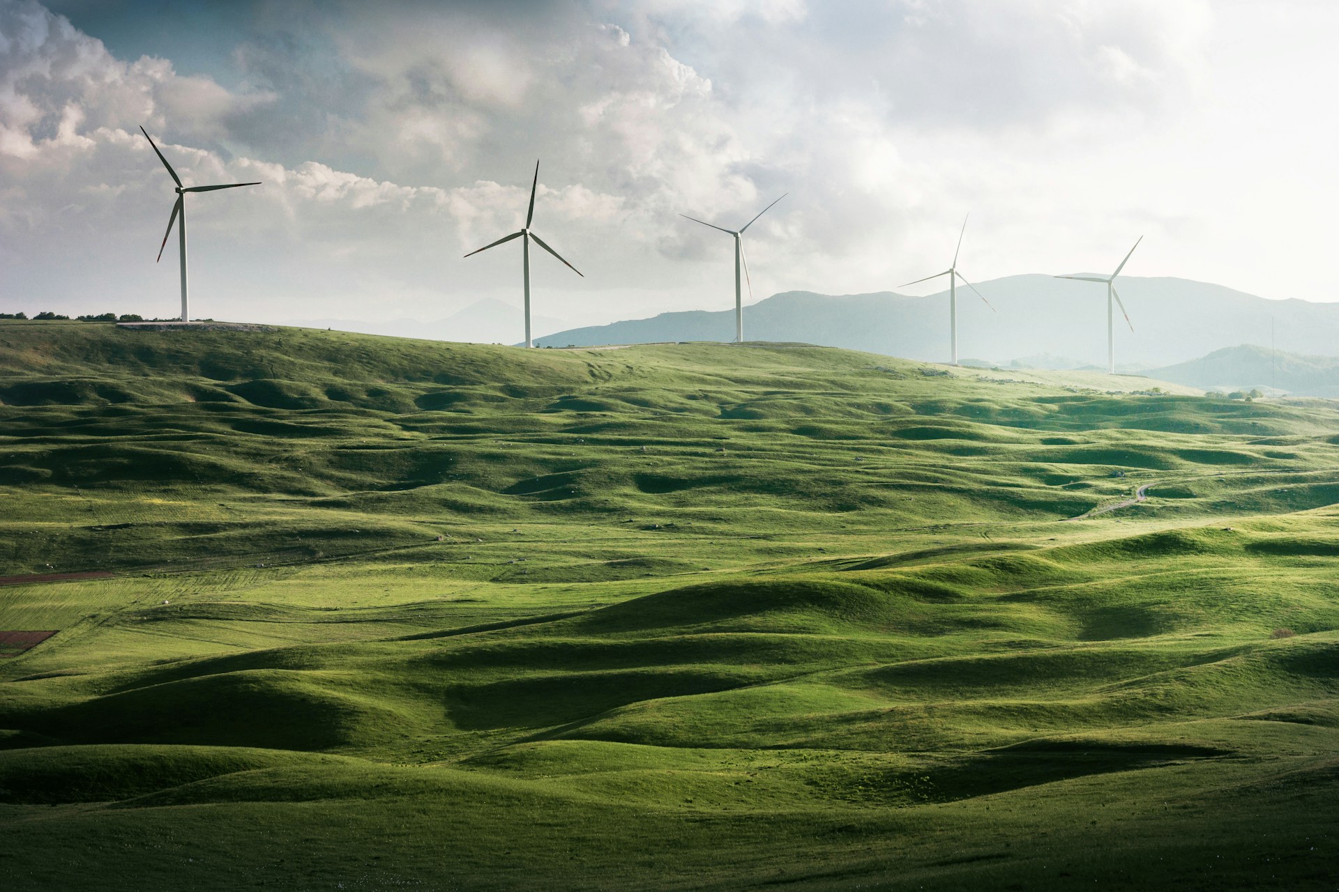 Environmental Consulting Services